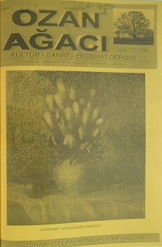 Yıl:3 Sayı:27, 2001 