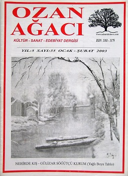 Yıl:5 Sayı:35, 2003 