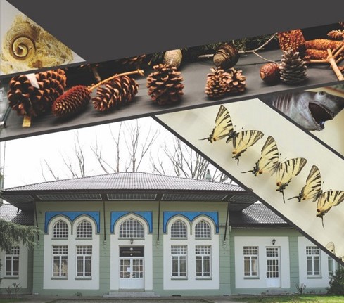 Trakya Üniversitesi Doğa Tarihi Müzesi
